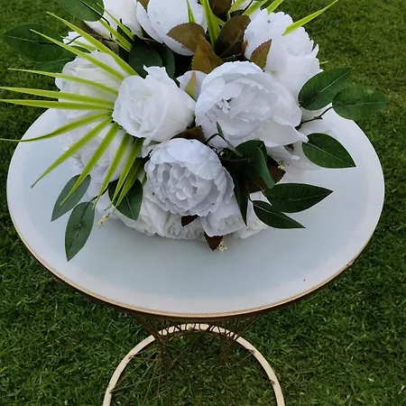 Seferihisarda Tam Muestakil 5 Odali Turizm Konutu Casa vacanze *